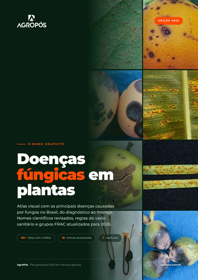 Capa do e-book Fungos causadores de doenças em plantas