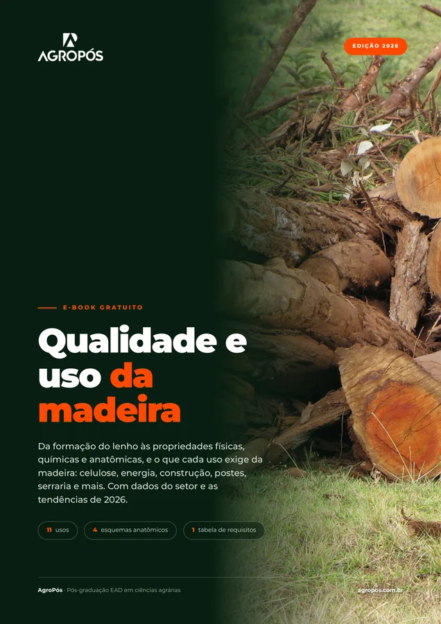 Capa do e-book Qualidade e uso da madeira