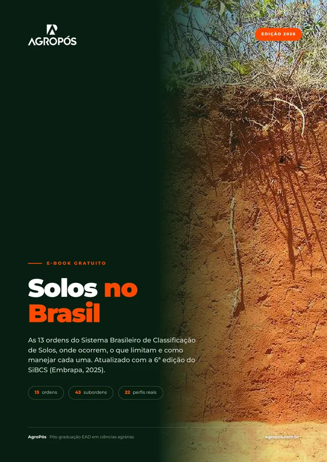 Capa do e-book Solos no Brasil