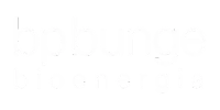 BP Bunge Bioenergia
