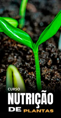 Nutrição de Plantas