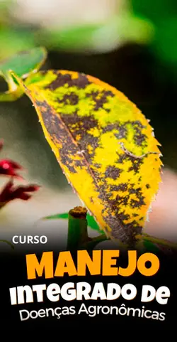 Manejo Integrado de Doenças Agronômicas