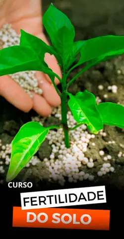 Fertilidade do Solo