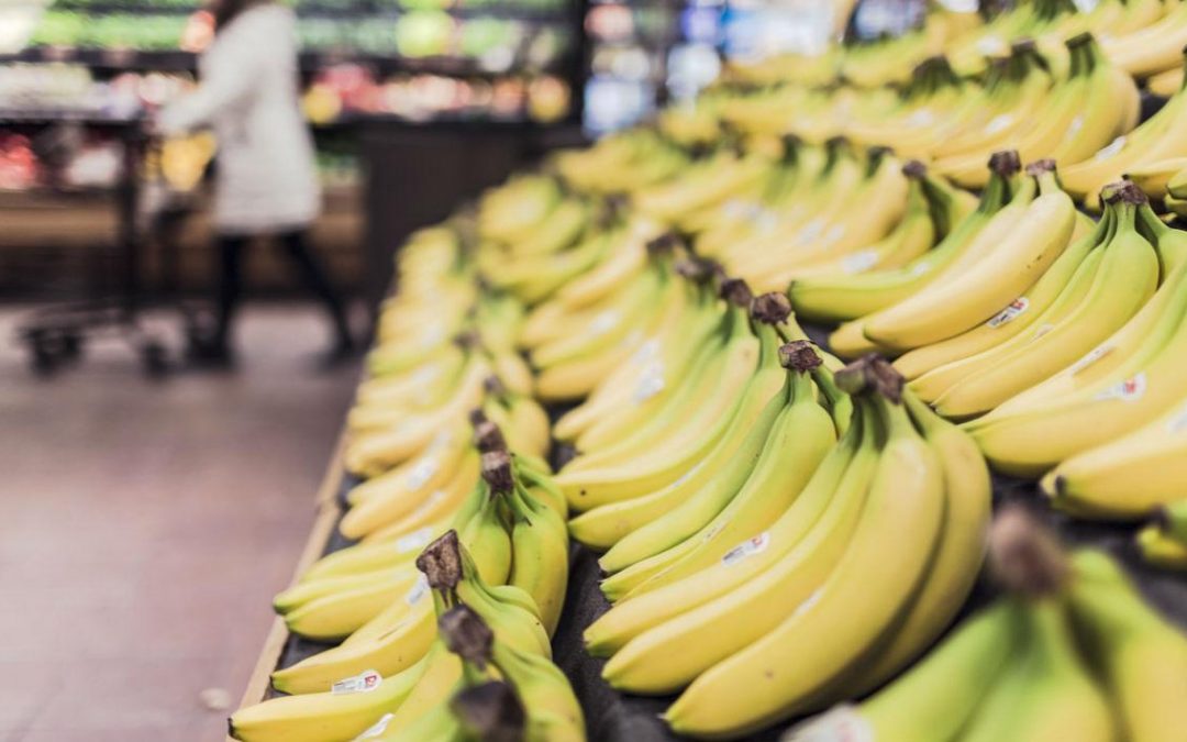 Startup quer salvar bananas de pragas e torná-las mais resistentes com edição genética