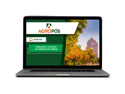 Problemas e soluções da arborização urbana