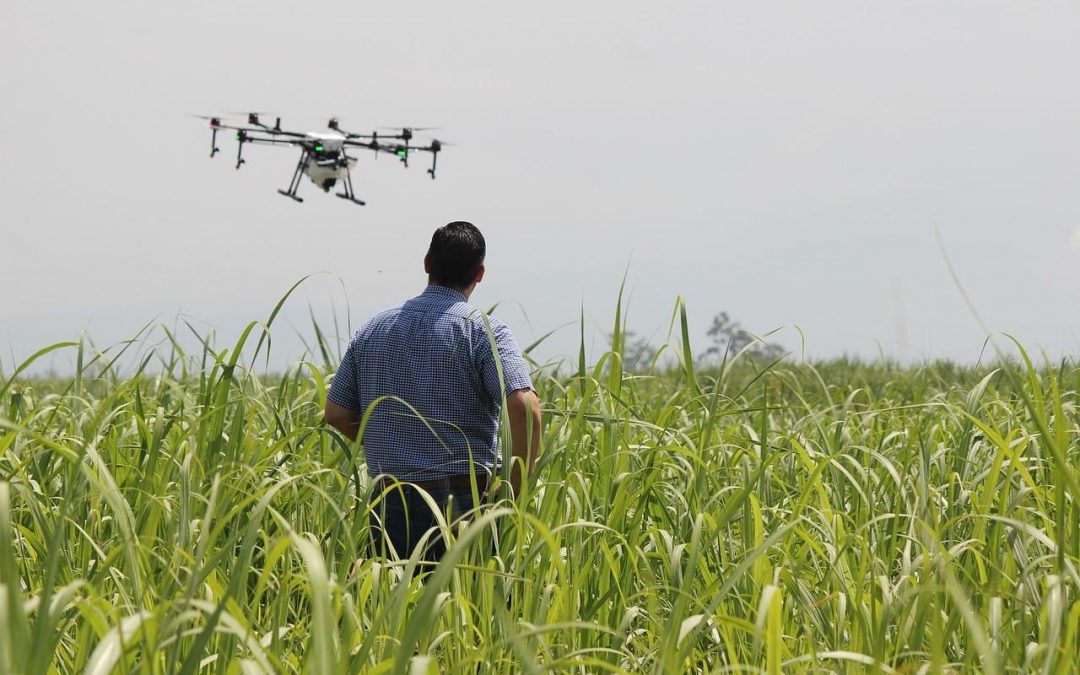 Case passa a oferecer serviço de mapeamento agrícola por drone