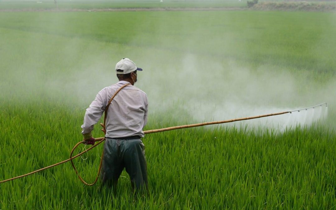 TRF-1 derruba liminar que suspendeu uso do herbicida glisofato no país