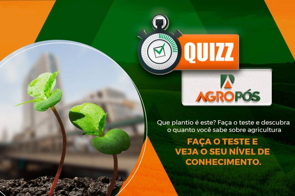 Que plantio é este? Faça o teste e descubra o quanto você sabe sobre agricultura