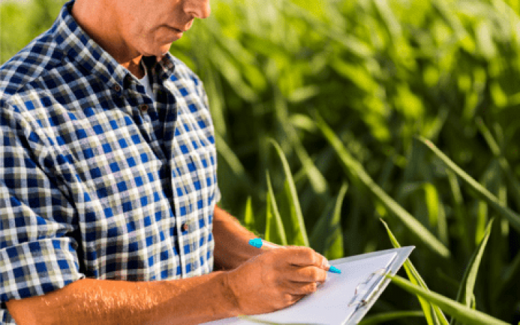 Novo programa apoia a qualificação de estudantes dos cursos de ciências agrárias