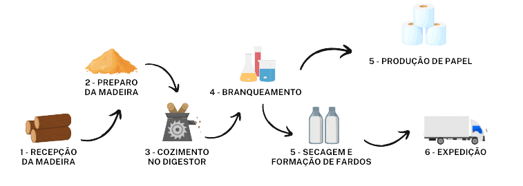 Produção de papel e celulose: como funciona?