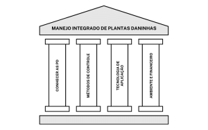 MANEJO INTEGRADO DE PLANTAS DANINHAS
