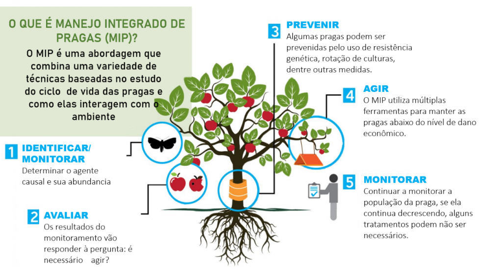 Manejo Integrado de Pragas: Por que adotá-lo na sua lavoura?