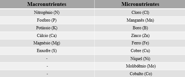macronutrientes e micronutrientes
