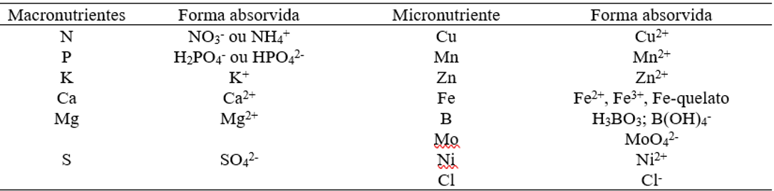 Tabela 1: Nutrientes e as formas químicas como são absorvidas pelas plantas