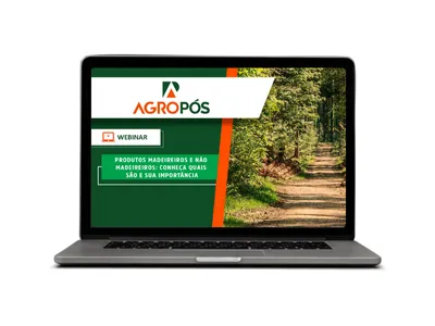 Produtos madeireiros e não madeireiros: conheça quais são e sua importância.