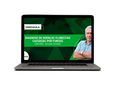 Diagnose de doenças florestais causadas por fungos.