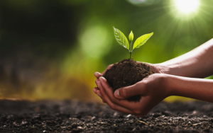 Conservação do solo: 10 benefícios dessa prática!