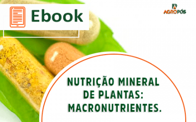 [EBOOK] Nutrição Mineral de Plantas: Macronutrientes.