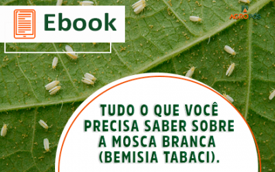 [EBOOK] Tudo o que você precisa saber sobre a mosca branca (Bemisia Tabaci).