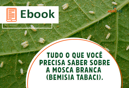 [EBOOK] Tudo o que você precisa saber sobre a mosca branca (Bemisia Tabaci).