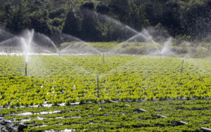 A Irrigação na Agricultura: Conheça os Benefícios!
