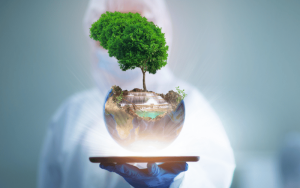 Conheça 7 etapas do licenciamento ambiental!