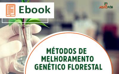 [EBOOK] Métodos de Melhoramento Genético Florestal.