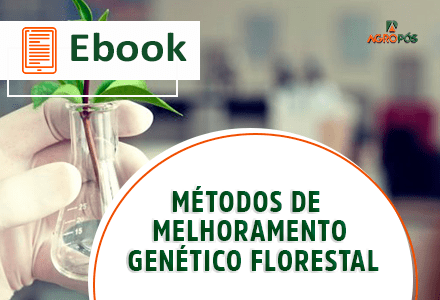 [EBOOK] Métodos de Melhoramento Genético Florestal.