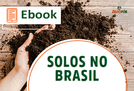 [EBOOK] Solos no Brasil.