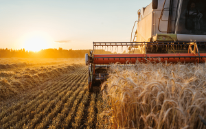 Implementos agrícolas: veja como aumentar a produtividade!