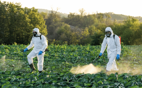 Defensivos agrícolas: entenda os tipos e usos! - AgroPós