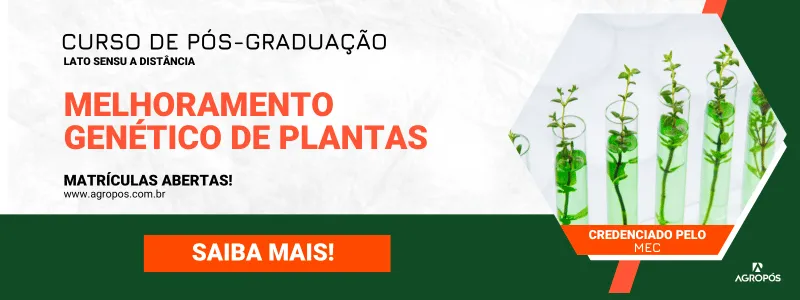 Melhoramento Genético de Plantas