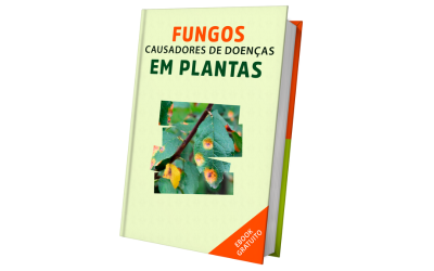 [EBOOK] Fungos causadores de doenças em plantas.