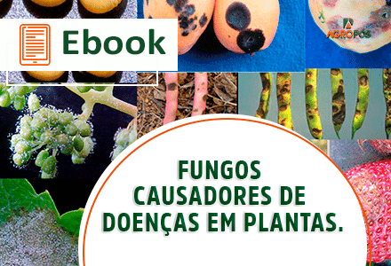[EBOOK] Fungos causadores de doenças em plantas.