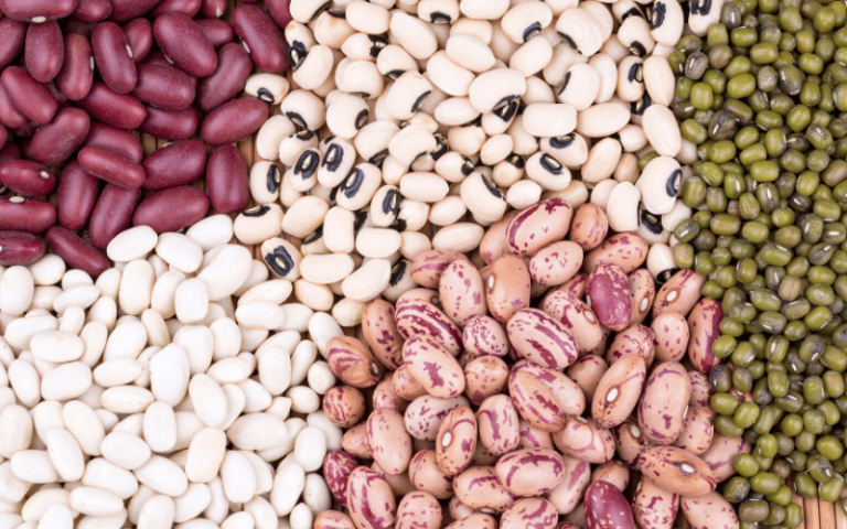 Conheça 13 tipos de feijão cultivados no Brasil! - AgroPós