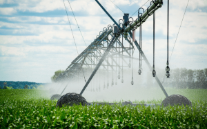 Conheça tudo sobre a irrigação por pivô central!