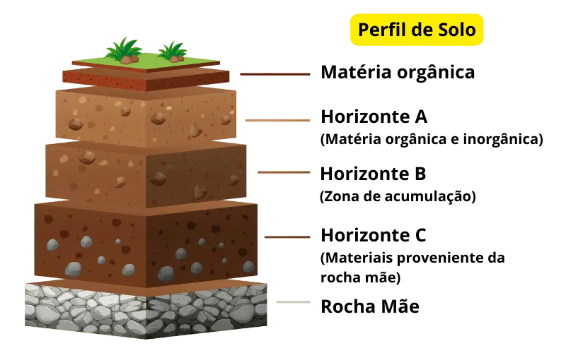 Quantas são as camadas do solo?