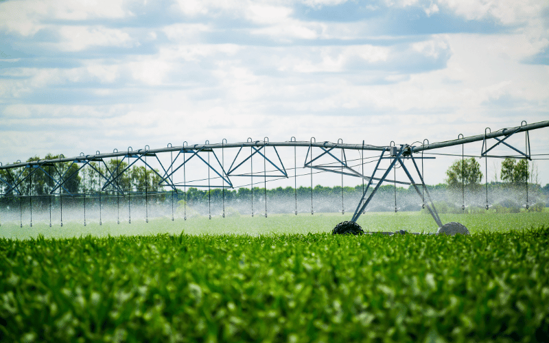 Conheça as Vantagens do Pivô de Irrigação na Agricultura!