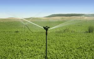 Irrigação de pastagem: veja os sistemas mais utilizados!
