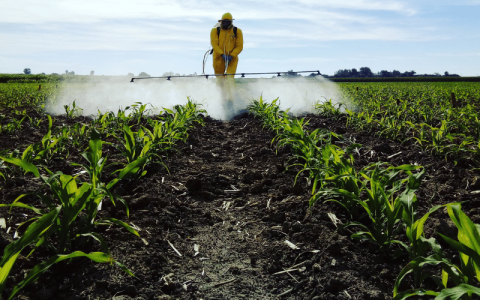 Pesticida: entenda tudo sobre esse defensivo agrícola! - AgroPós