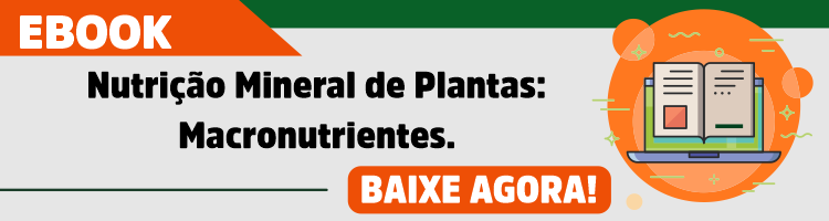 Nutrição Mineral de Plantas Macronutrientes.