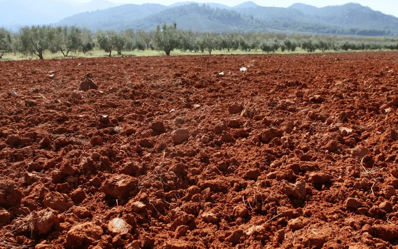 Estrutura do solo: classificação e o manejo do solo!