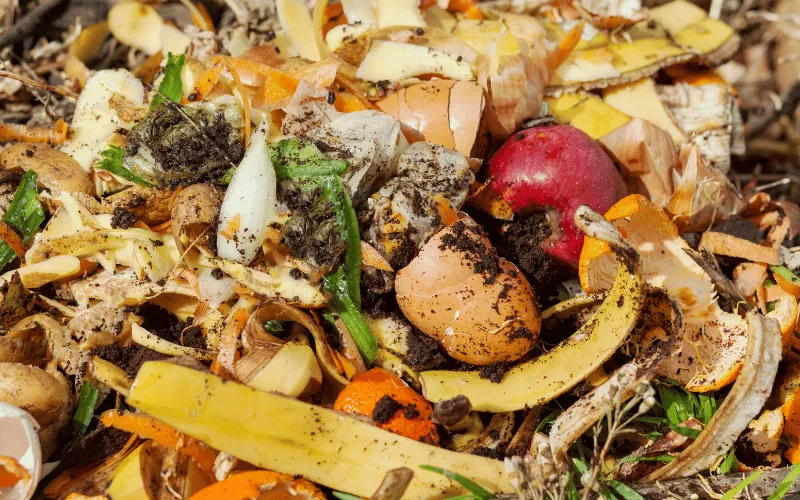 Composto orgânico: alternativa para a agricultura sustentável!