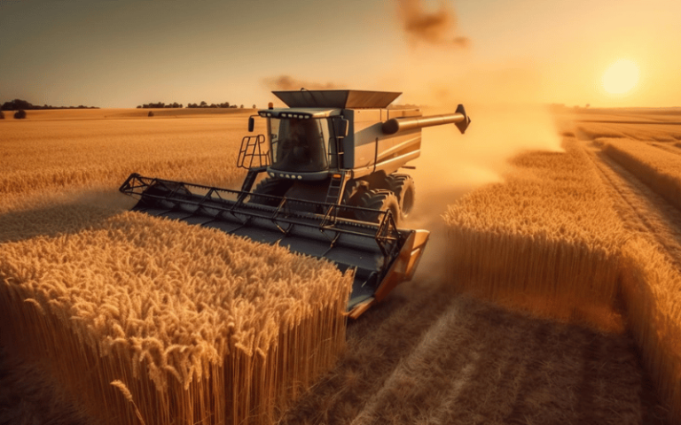 Colheita: conheça os diferentes tipos e alguns cuidados! - AgroPós