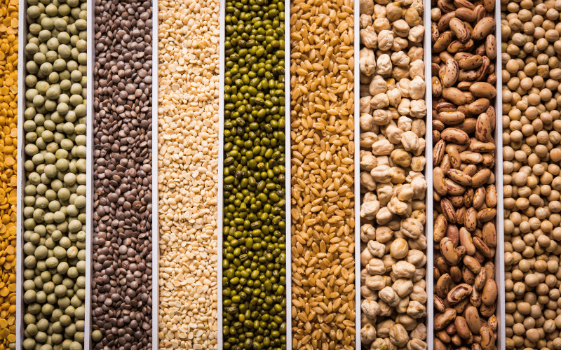 Conheça os principais tipos de grãos produzidos no Brasil!