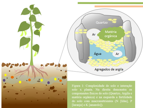 Saturação por base e suas implicações nas reações químicas do solo