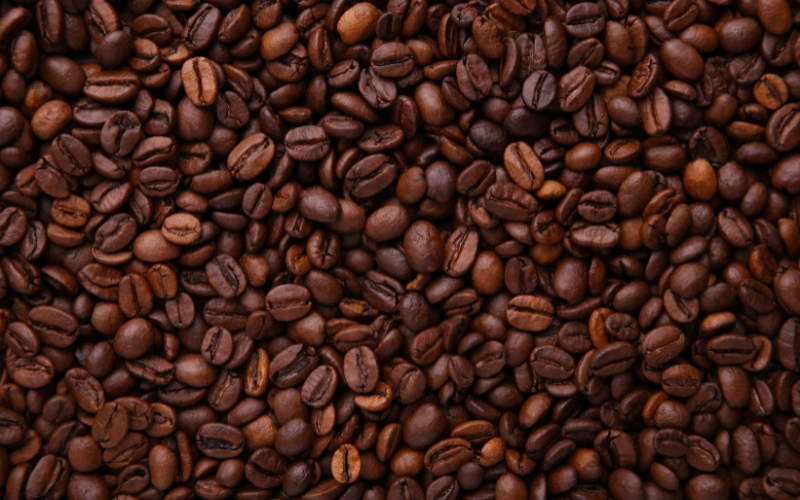 Grãos de café: conheça os diferentes tipos!
