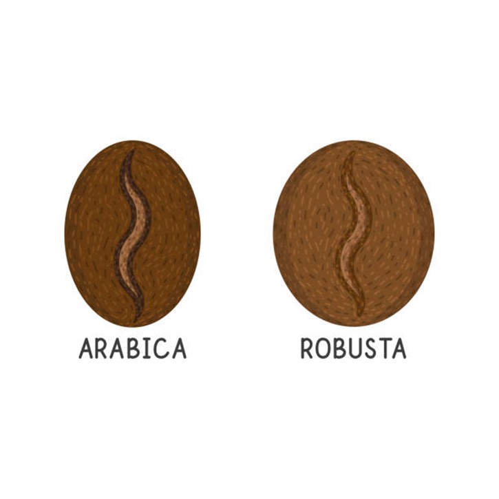 Qual a diferença do café arábica e robusta