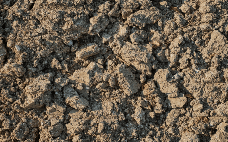 Textura do solo: o que é e como identificar!