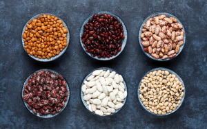 Como tornar-se produtor de sementes de feijão comum?